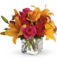 Teleflora's Uniquely Chic from Brennan's Florist and Fine Gifts in Jersey City